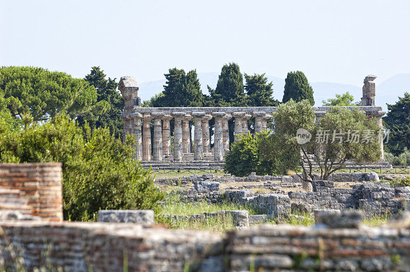 罗马神庙- Paestum